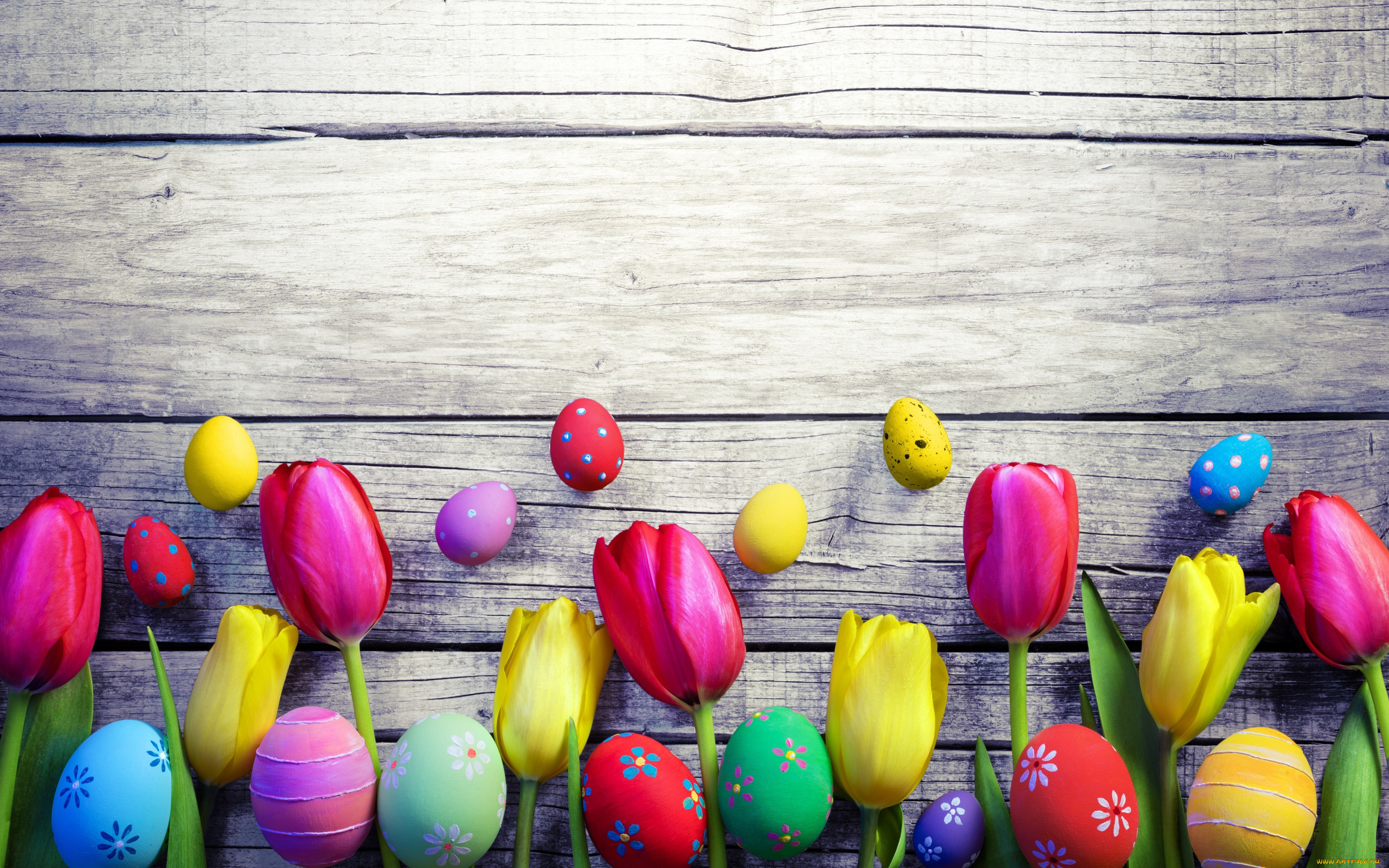 , , , decoration, colorful, wood, easter, , tulips, spring, , , eggs, flowers, happy, 